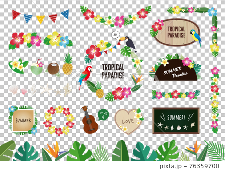 Tropical, summer material illustration set (white background, with letters) 76359700
