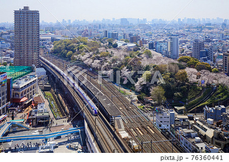 飛鳥山の満開のソメイヨシノと山形新幹線 飛鳥山の満開のソメイヨシノと山形新幹線 76360441