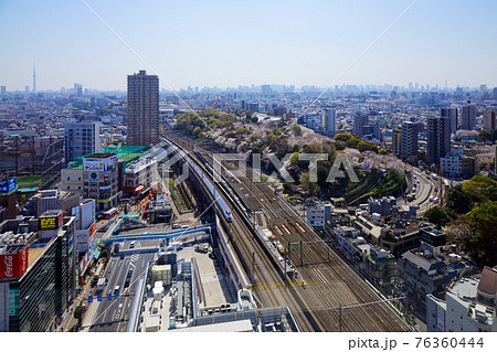 飛鳥山の満開のソメイヨシノと北陸新幹線 スカイツリー 飛鳥山の満開のソメイヨシノと北陸新幹線 スカイツリー 76360444