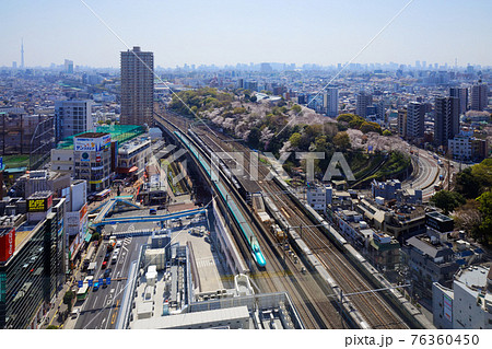 飛鳥山の満開のソメイヨシノと東北新幹線 スカイツリー 飛鳥山の満開のソメイヨシノと東北新幹線 スカイツリー 76360450