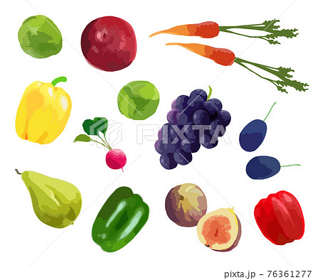 野菜 果物 フルーツ イラストカット 手描き風 ベクターのイラスト素材