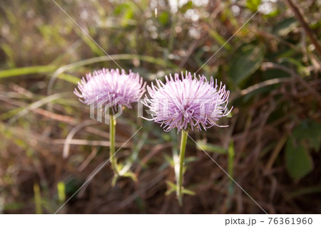 2 Dec 2006 the landscape of the High Junk Peak, hk 76361960