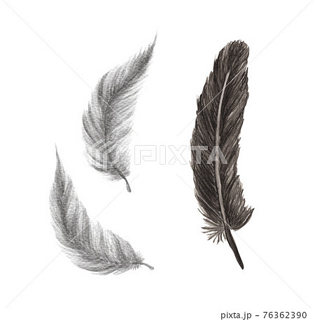 Vibrant feather set. Watercolor illustration. Vibrant feather set. Watercolor illustration. 76362390