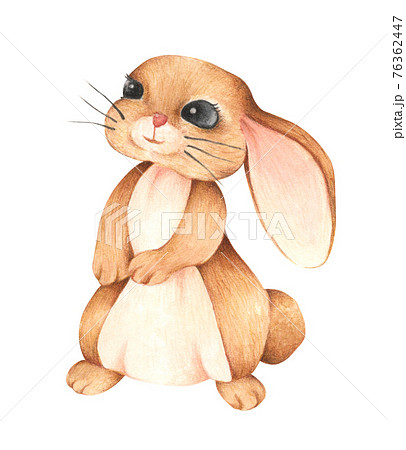 Brown rabbit. Watercolor and colored pencil illustration. 76362447