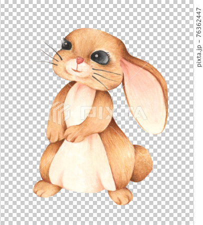 Brown rabbit. Watercolor and colored pencil illustration. 76362447