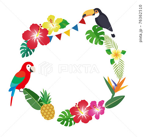 南国の花と葉のフレーム 背景装飾イラストのイラスト素材