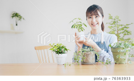 室内で観葉植物の手入れをしている女性の写真素材