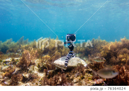 Using camera in waterproof box on a tripod to make photos and video from the bottom of the sea Using camera in waterproof box on a tripod to make photos and video from the bottom of the sea 76364024