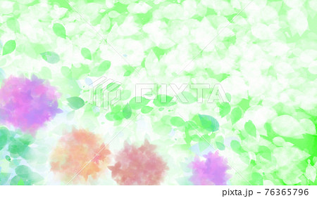 明るい日差しに輝くあじさいの花と鮮やかな緑色の葉　背景イラスト  76365796
