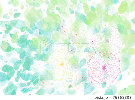 水彩ライトグリーンの葉と線画のカラフルな花 背景イラスト のイラスト素材
