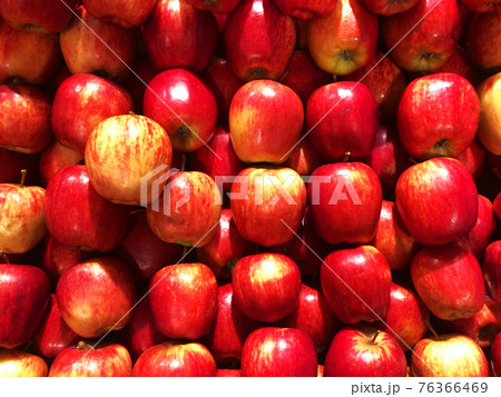売り場に並べられたたくさんのりんご 76366469