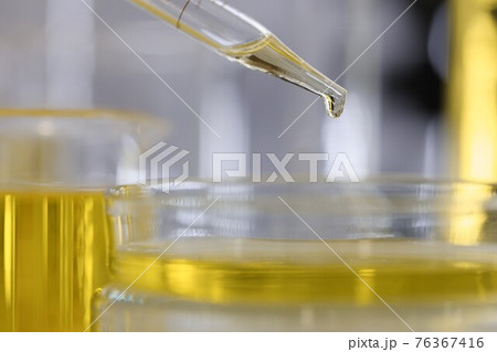 Yellow liquid dripping from pipette into petri dish closeup Yellow liquid dripping from pipette into petri dish closeup 76367416