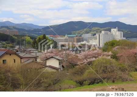 春の毛呂山町にて 春の毛呂山町にて 76367520