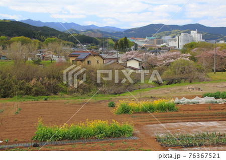 春の毛呂山町にて 76367521