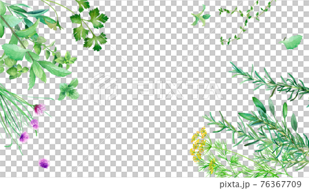 A bird's-eye view of various herbs placed on the table. Frame background. Watercolor illustration trace vector. 76367709