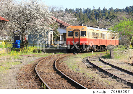 小湊鐵道「桜咲く春の上総鶴舞駅と列車」 76368507