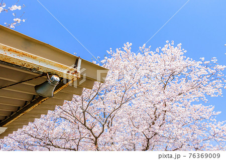 浦ノ崎駅と桜 佐賀県伊万里市の写真素材