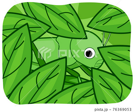 Grasshopper Camouflage Leaves Illustration Grasshopper Camouflage Leaves Illustration 76369053
