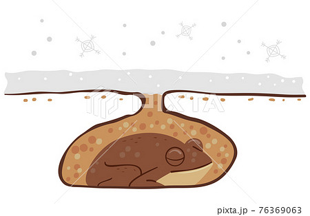 Frog Hibernation Winter Illustration 76369063