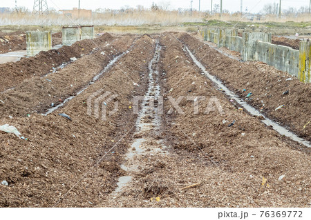 Rows of green waste at industrial compost plant 76369772