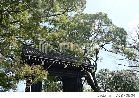 京都御所の中立売御門(入口) 京都御所の中立売御門(入口) 76370904