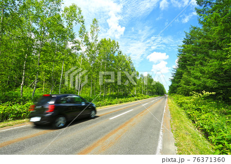 夏の北海道　美瑛の森をドライブ 76371360