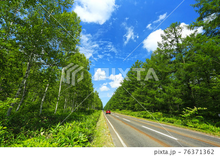 夏の北海道　美瑛の森をドライブ 76371362