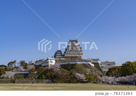 [兵庫県]春の姫路城天守閣と桜 76371363