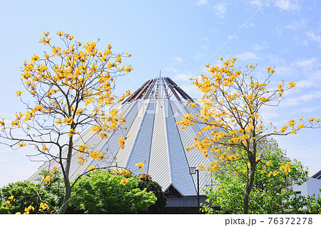イペーとクレインパークいずみ　春の風景 76372278