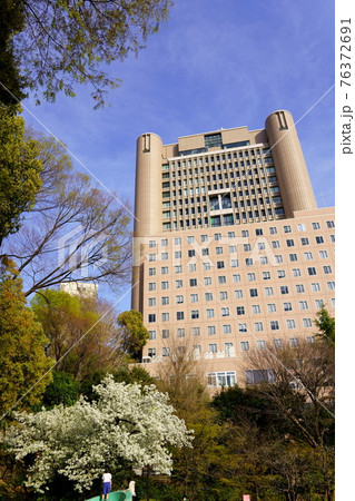 錦華公園と明治大学リバティタワー（東京都千代田区） 76372691