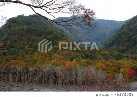 秋 あき 秋の 76373008