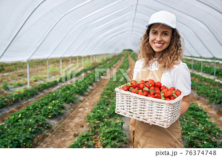 Curly brunette wearing cap harvested strawberries. Curly brunette wearing cap harvested strawberries. 76374748