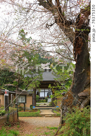 東京都あきる野市光厳寺 76375350