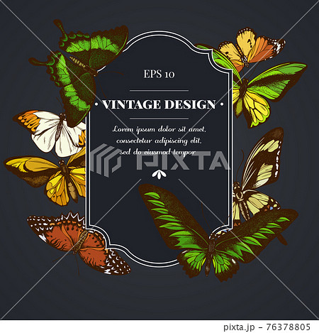 Dark badge design with great orange-tip, emerald swallowtail, jungle queens, plain tiger, rajah Dark badge design with great orange-tip, emerald swallowtail, jungle queens, plain tiger, rajah 76378805