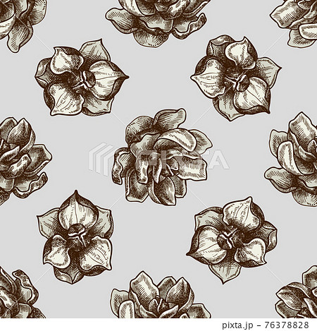 Seamless pattern with hand drawn colored magnolia flowers 76378828