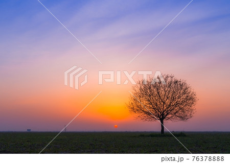 空 日の出 大地 76378888