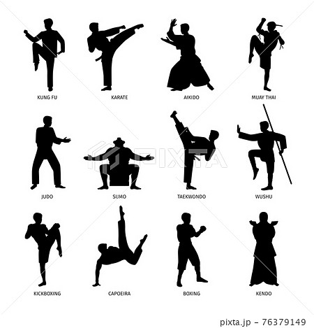 Asian martial arts black silhouettes Asian martial arts black silhouettes 76379149
