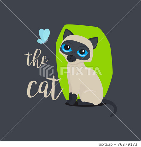 Funny cat with quote 76379173