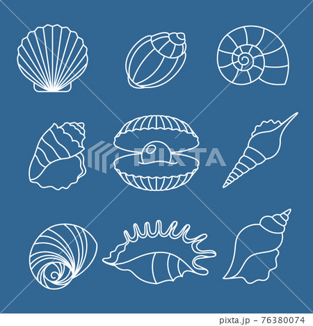 Sea Shell Outline Icons On Blueのイラスト素材