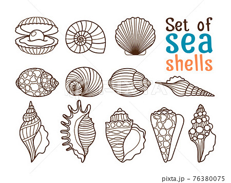 Sea Shell Line Iconsのイラスト素材