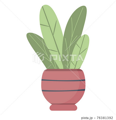 Plant leaves in a pot, beautiful green houseplant isolated vector. 76381392