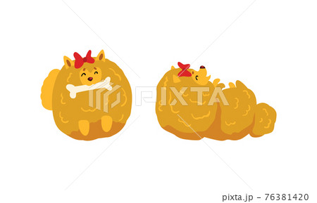 Cute Fluffy Dog Activity Set, Adorable Spitz Pet Animal with Red Bow Vector Illustration Cute Fluffy Dog Activity Set, Adorable Spitz Pet Animal with Red Bow Vector Illustration 76381420
