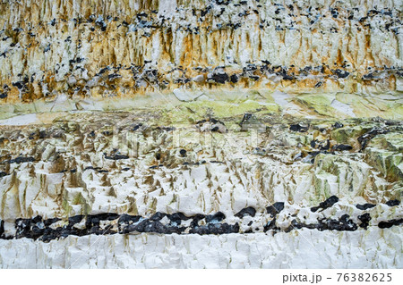 Detail of large chalk cliff face Detail of large chalk cliff face 76382625