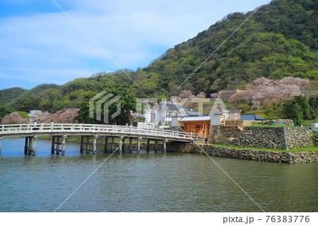 【鳥取県】満開の桜の鳥取城跡（久松公園　擬宝珠橋） 76383776