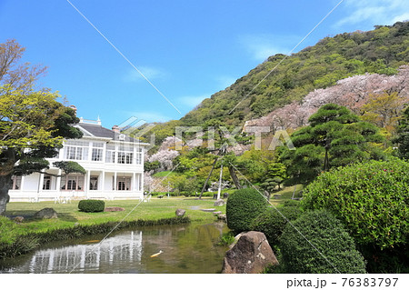 【鳥取県】晴天下の仁風閣と満開の桜 76383797