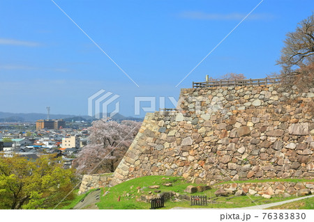 【鳥取県】鳥取城から見た満開の桜と鳥取市街（久松公園） 76383830