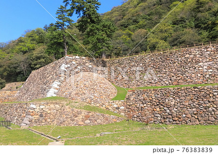 【鳥取県】鳥取城　天球丸（巻石垣） 76383839