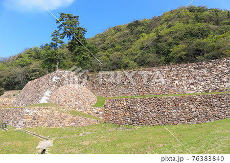 【鳥取県】鳥取城　天球丸（巻石垣） 76383840