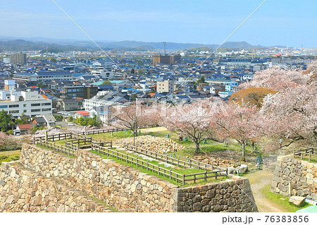 【鳥取県】鳥取城から見た満開の桜と鳥取市街(久松公園) 【鳥取県】鳥取城から見た満開の桜と鳥取市街(久松公園) 76383856