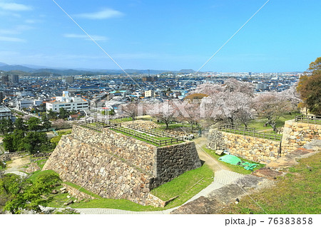 【鳥取県】鳥取城から見た満開の桜と鳥取市街（久松公園） 76383858